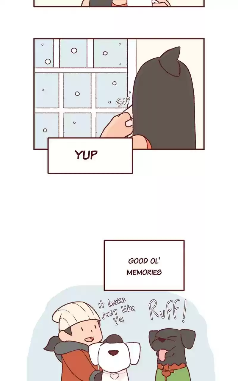 Saphie: The One-Eyed Cat Chapter 286: