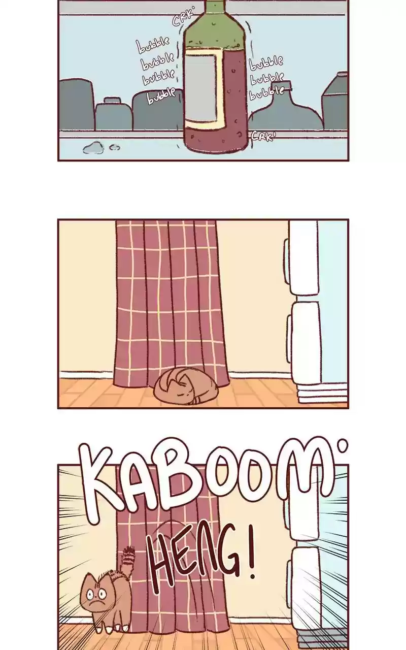 Saphie: The One-Eyed Cat Chapter 288: