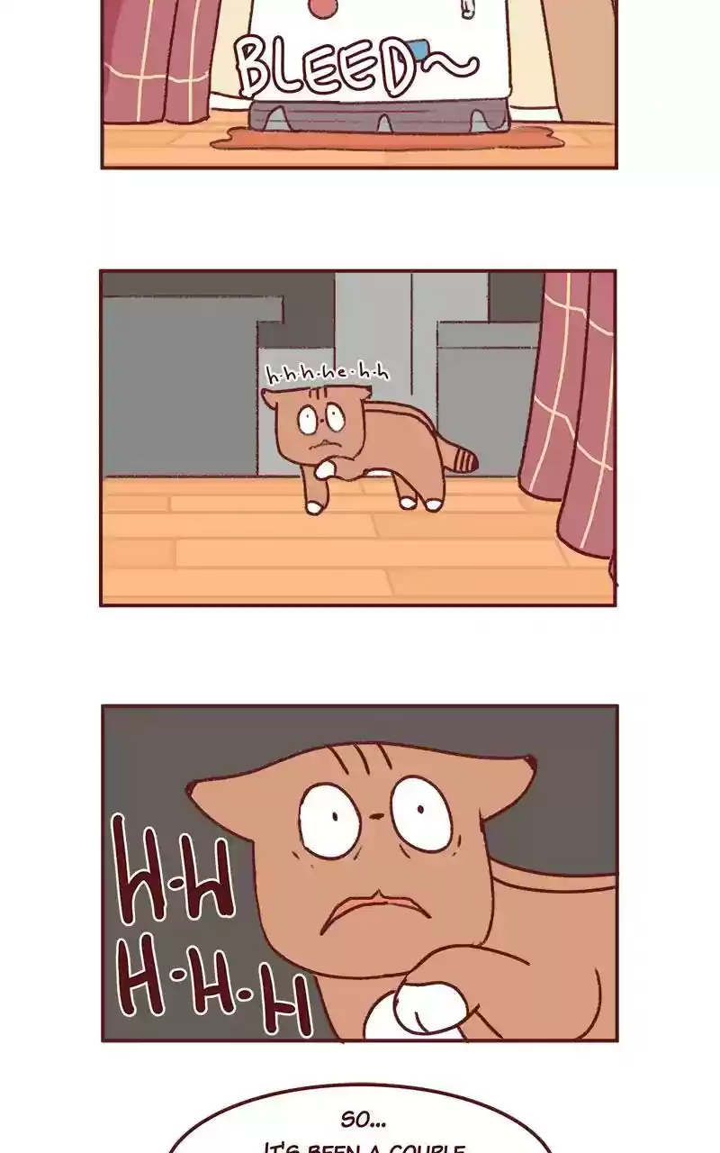 Saphie: The One-Eyed Cat Chapter 288: