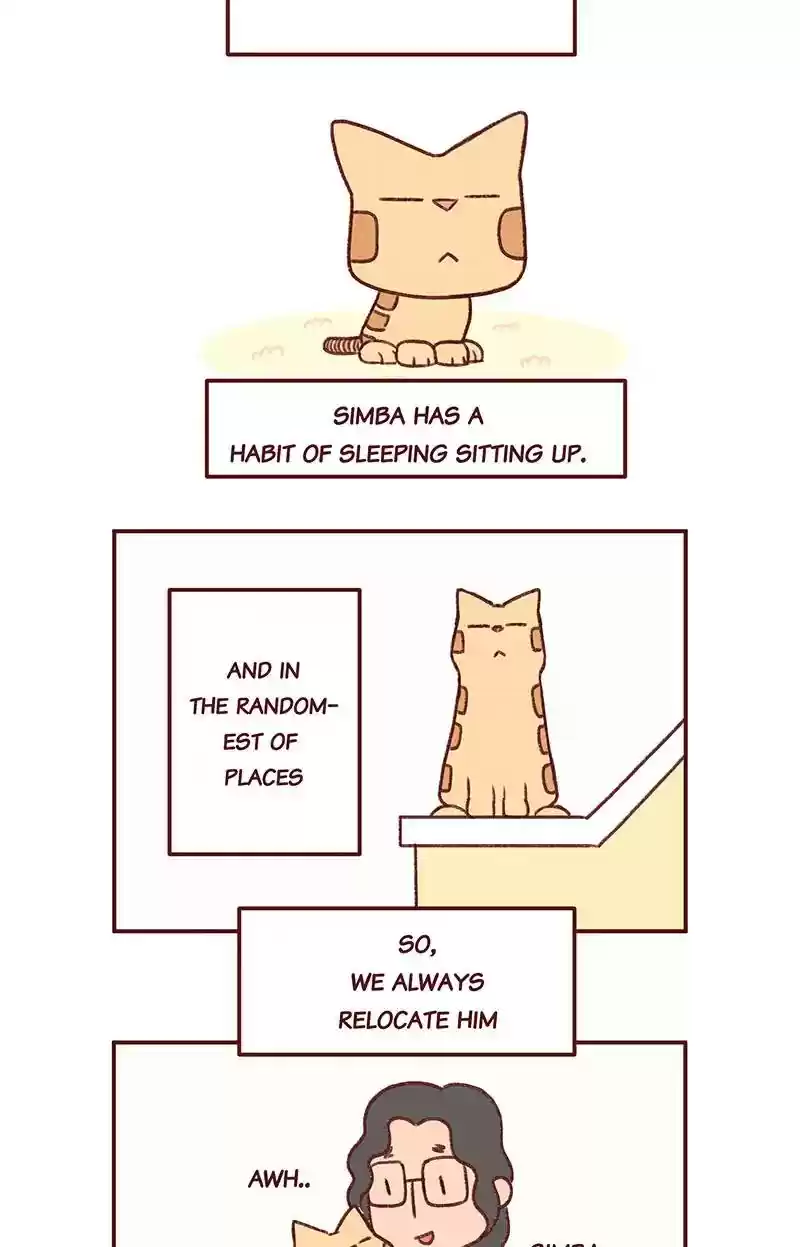 Saphie: The One-Eyed Cat Chapter 290: