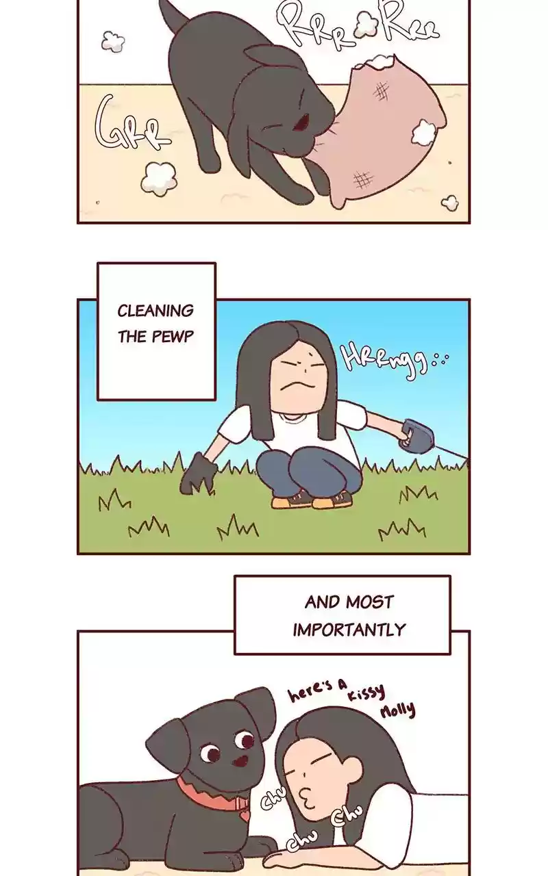 Saphie: The One-Eyed Cat Chapter 291: