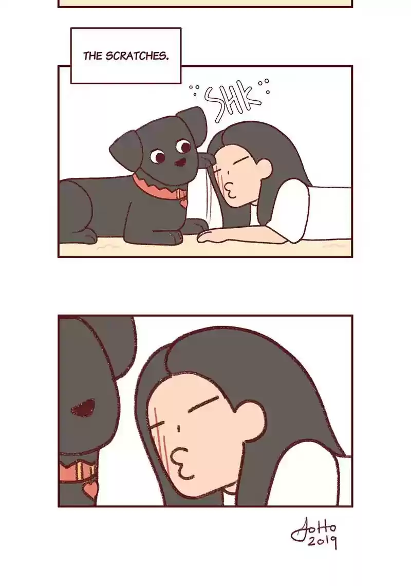 Saphie: The One-Eyed Cat Chapter 291: