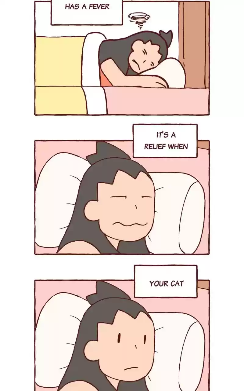 Saphie: The One-Eyed Cat Chapter 292: