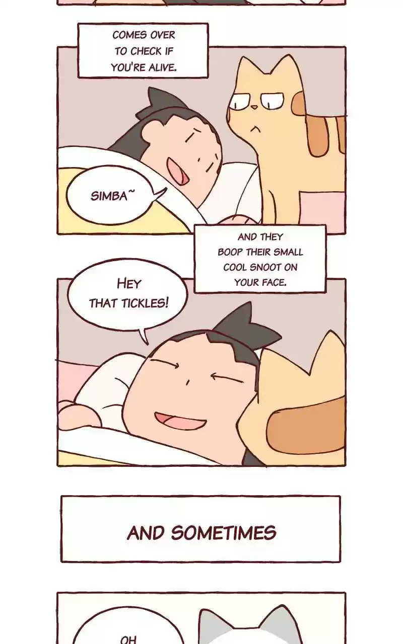 Saphie: The One-Eyed Cat Chapter 292: