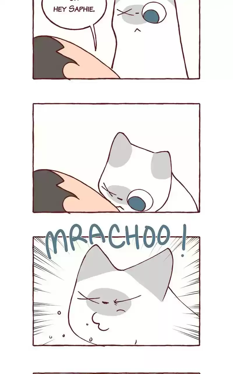 Saphie: The One-Eyed Cat Chapter 292:
