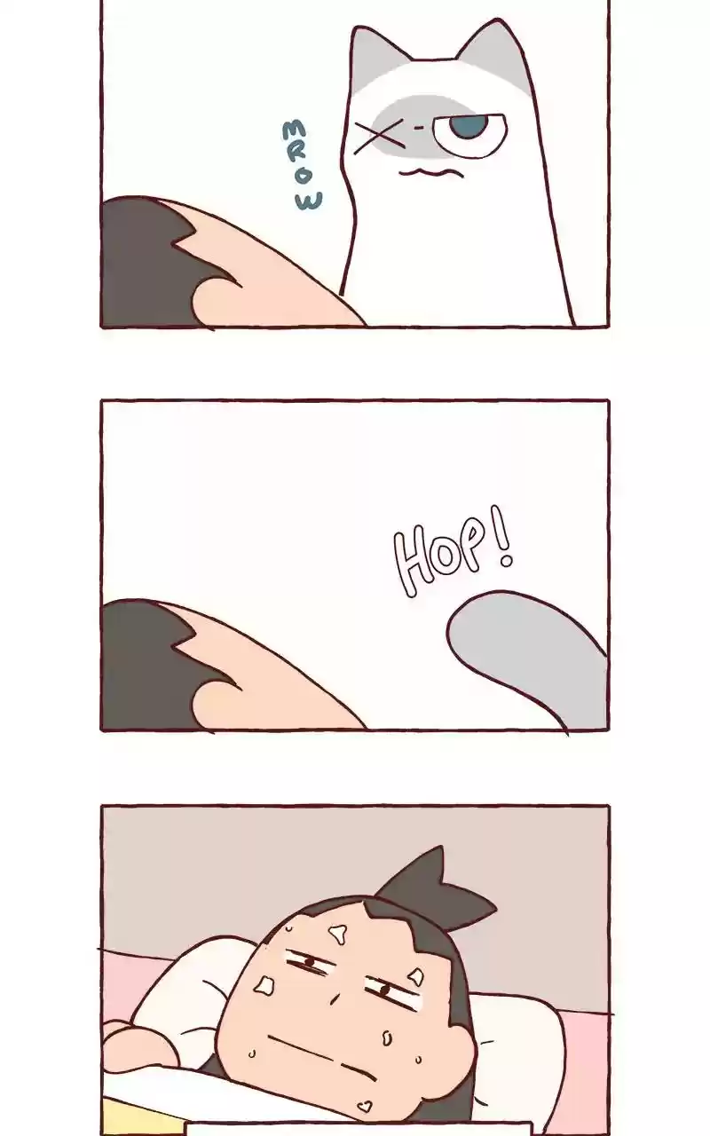 Saphie: The One-Eyed Cat Chapter 292: