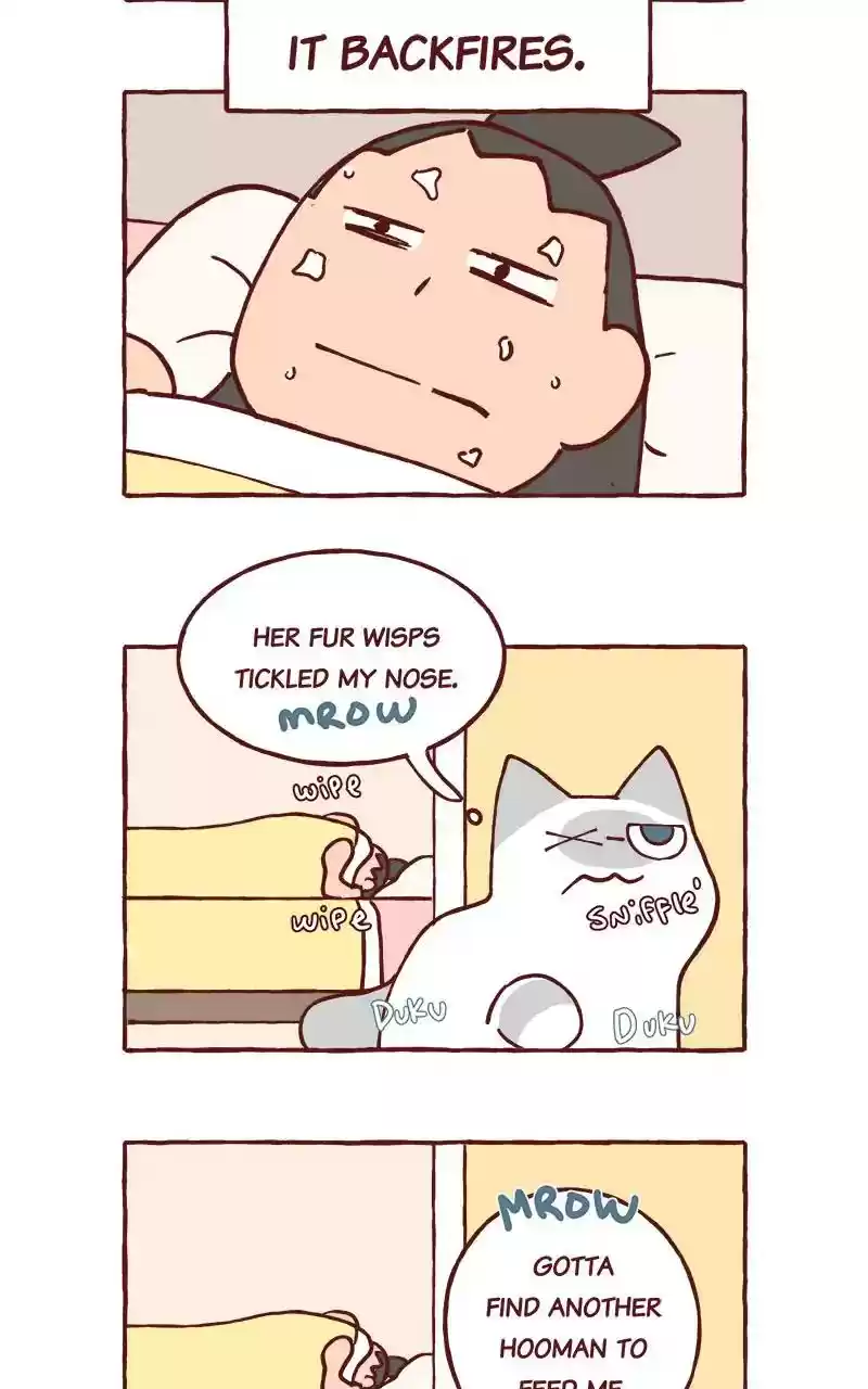 Saphie: The One-Eyed Cat Chapter 292: