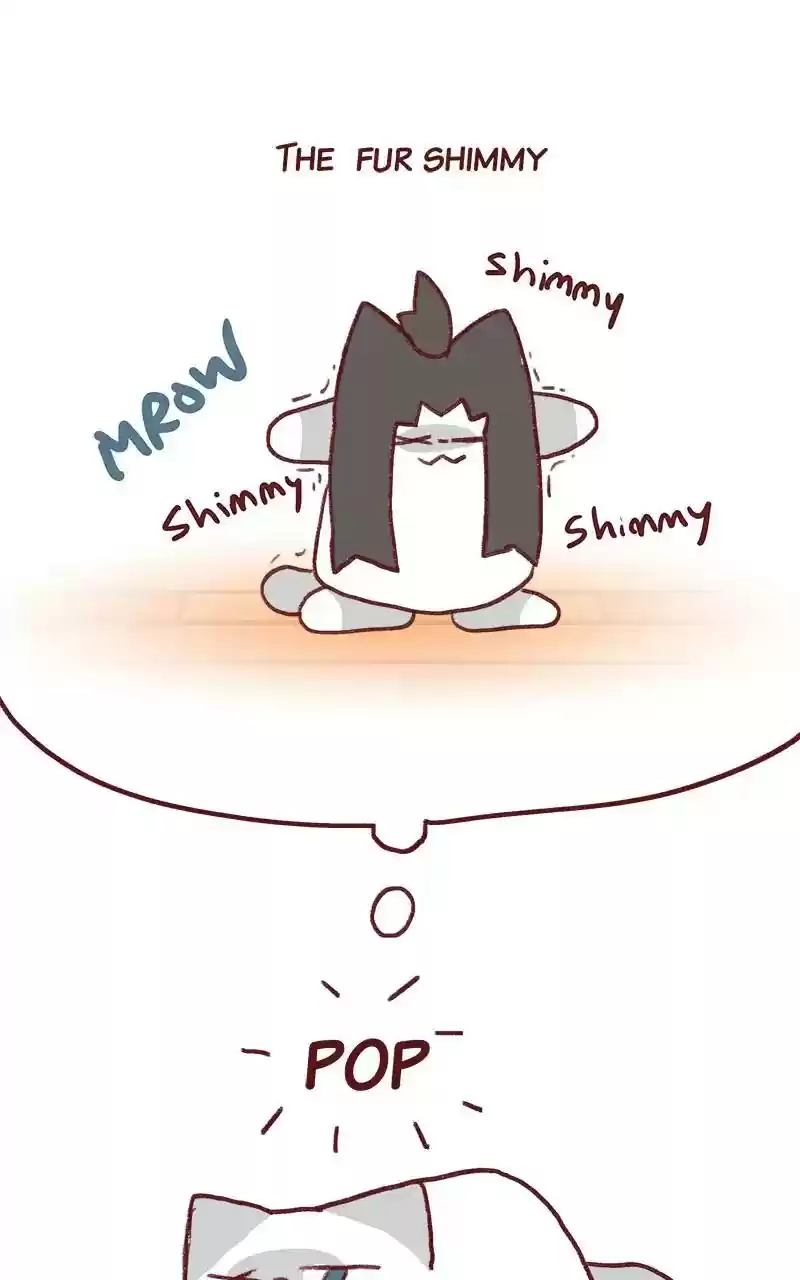 Saphie: The One-Eyed Cat Chapter 293: