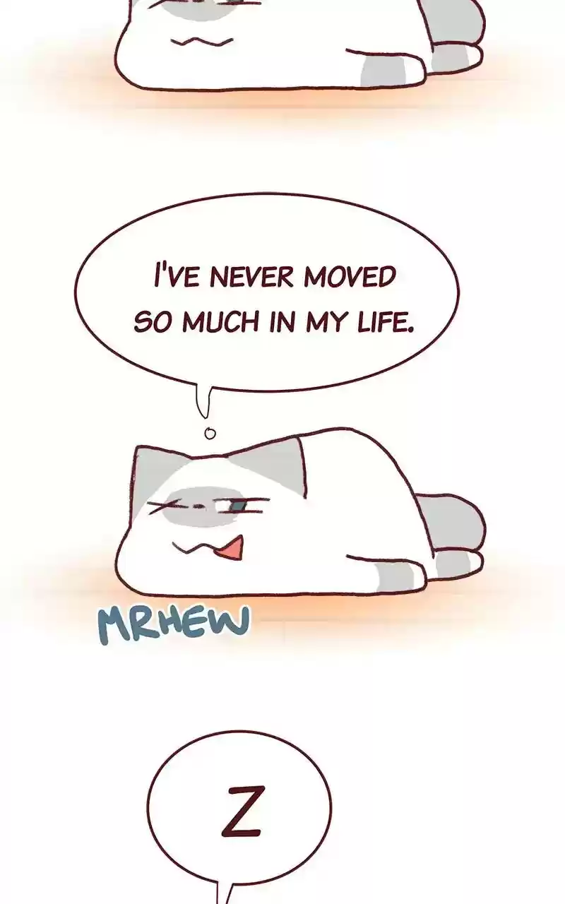 Saphie: The One-Eyed Cat Chapter 293: