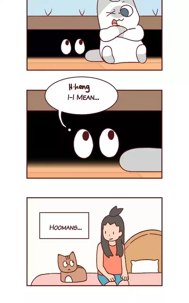 Saphie: The One-Eyed Cat Chapter 294: