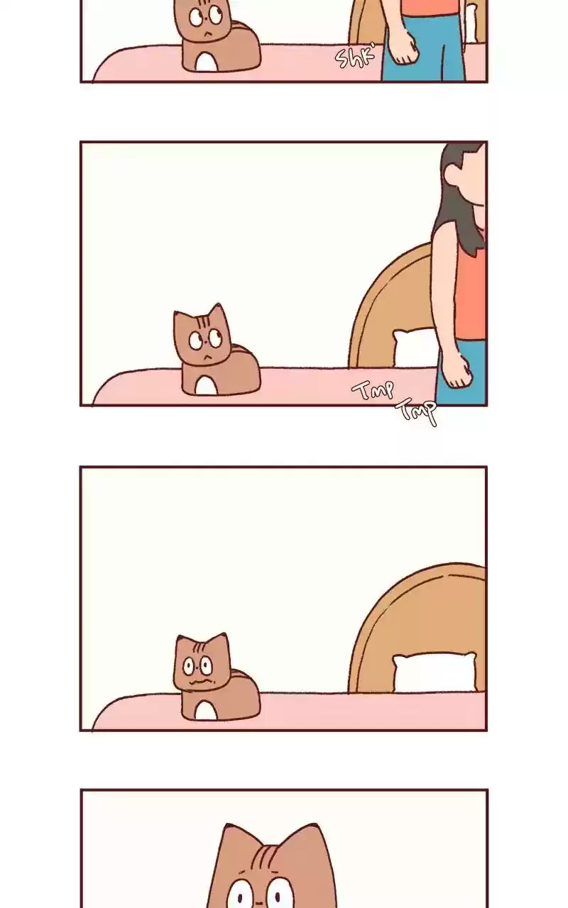 Saphie: The One-Eyed Cat Chapter 294: