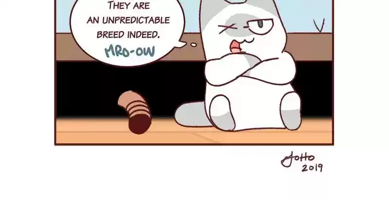 Saphie: The One-Eyed Cat Chapter 294: