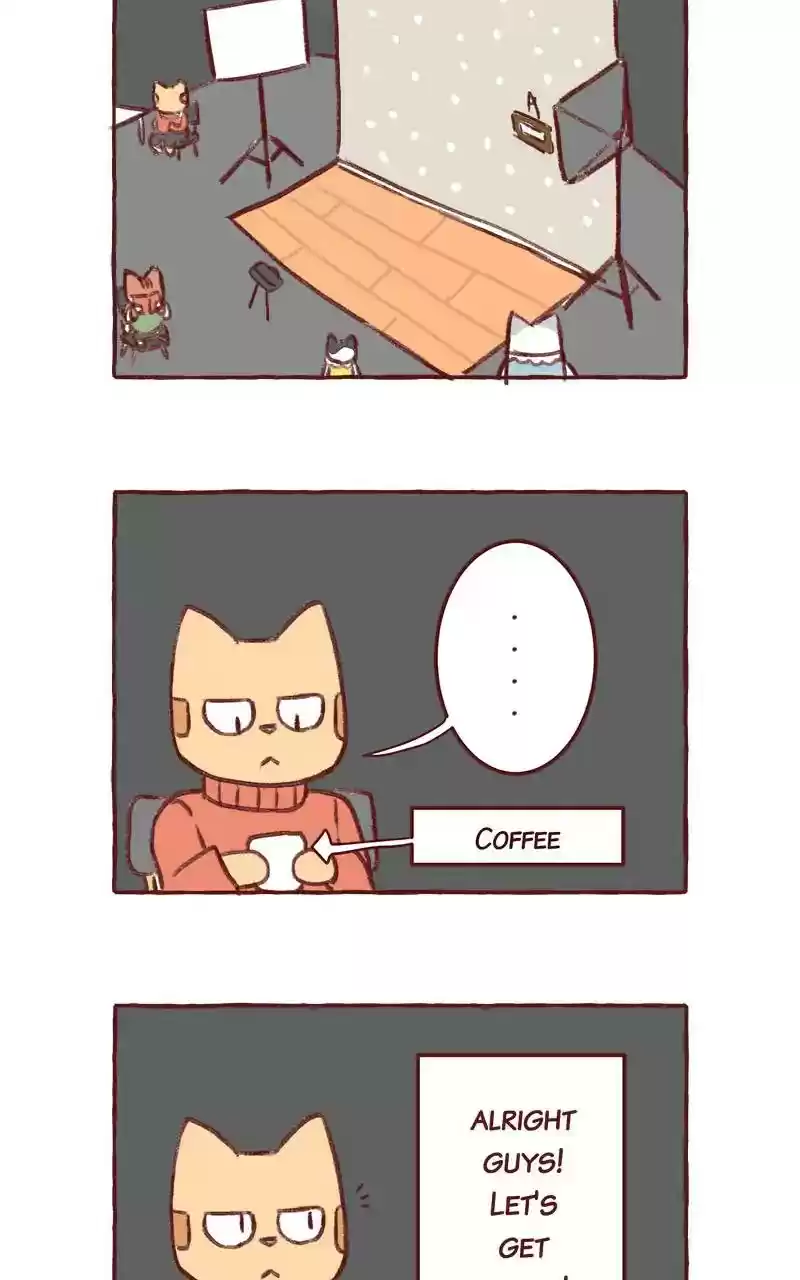 Saphie: The One-Eyed Cat Chapter 295: