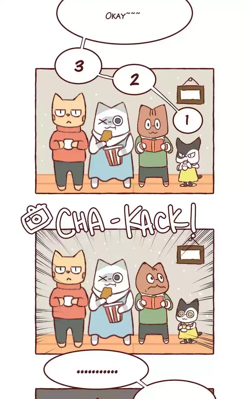 Saphie: The One-Eyed Cat Chapter 295: