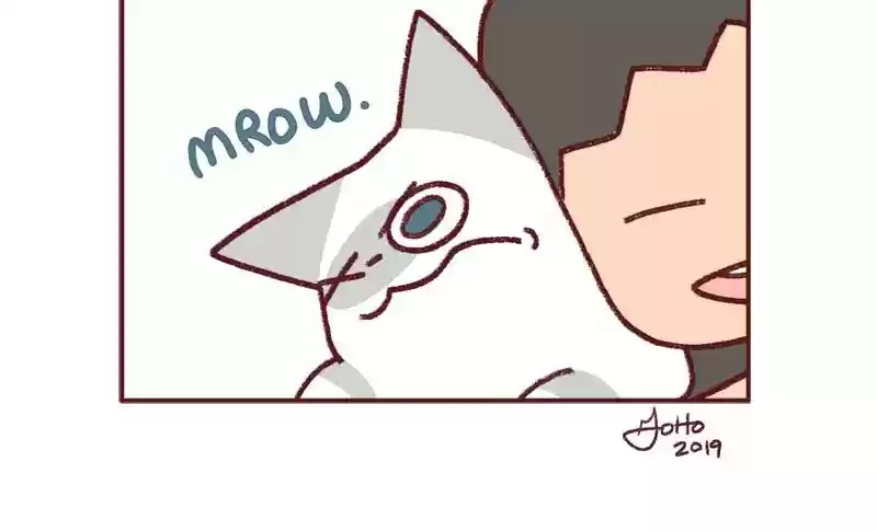 Saphie: The One-Eyed Cat Chapter 296: