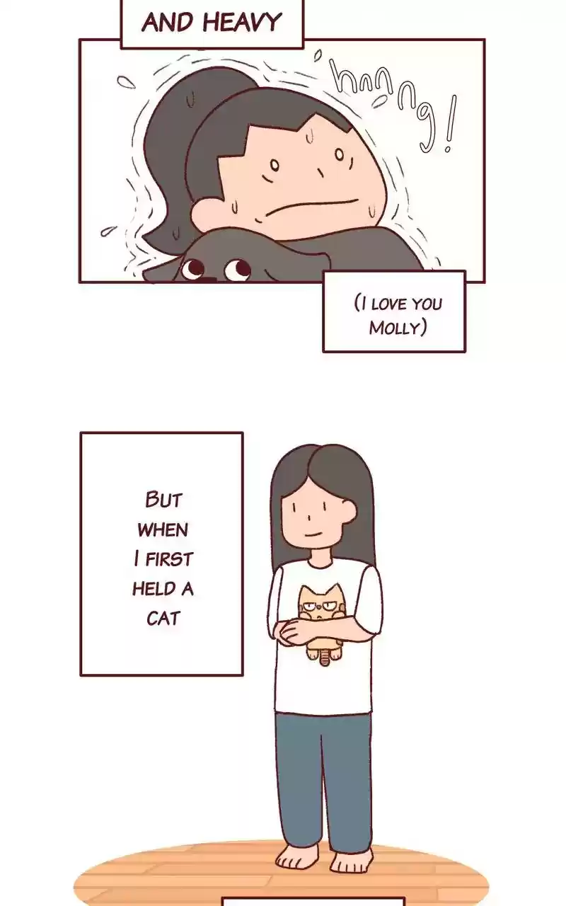 Saphie: The One-Eyed Cat Chapter 297: