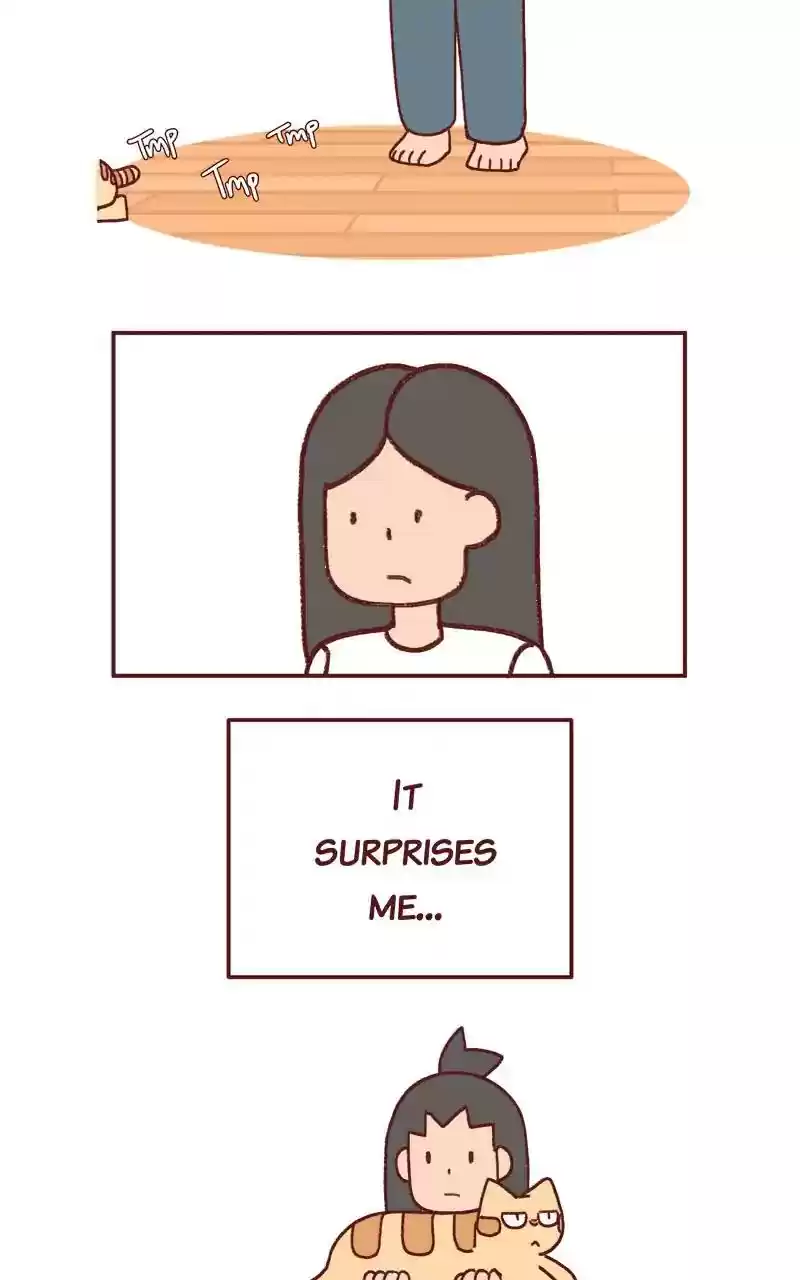 Saphie: The One-Eyed Cat Chapter 297: