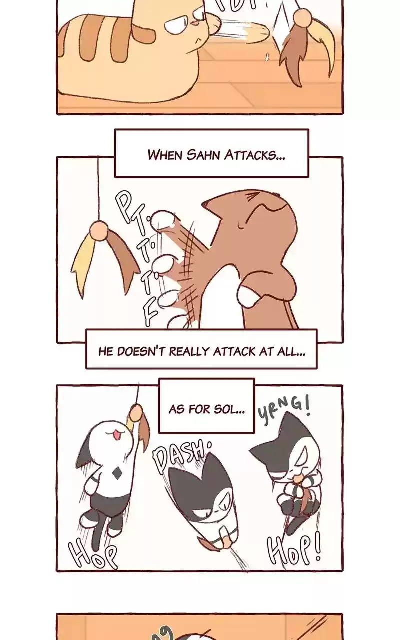 Saphie: The One-Eyed Cat Chapter 298: