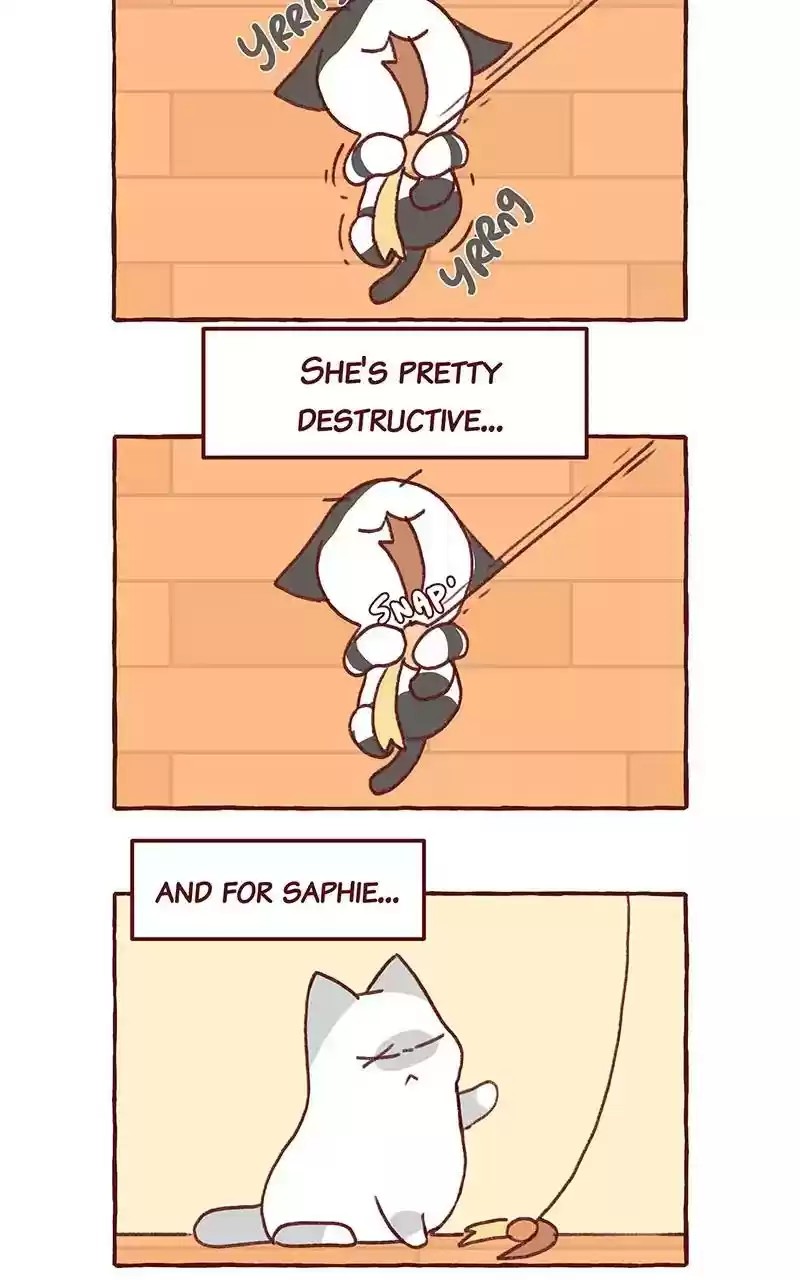 Saphie: The One-Eyed Cat Chapter 298: