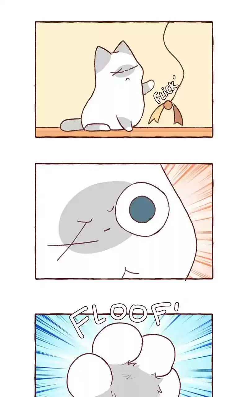 Saphie: The One-Eyed Cat Chapter 298: