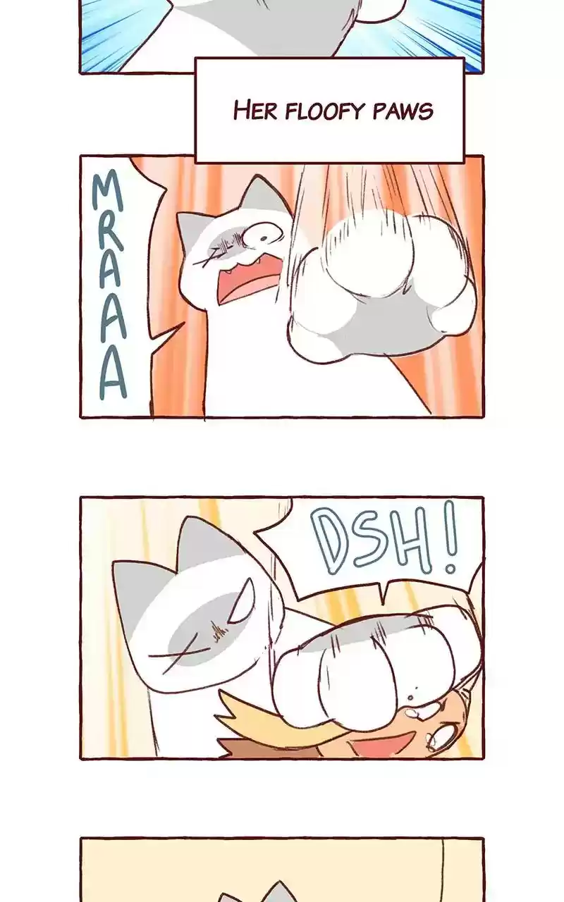 Saphie: The One-Eyed Cat Chapter 298: