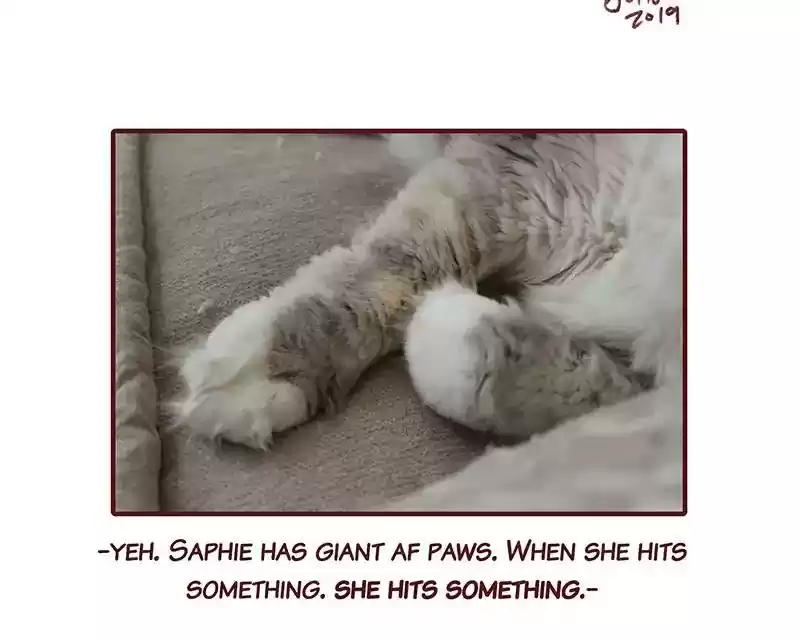 Saphie: The One-Eyed Cat Chapter 298: