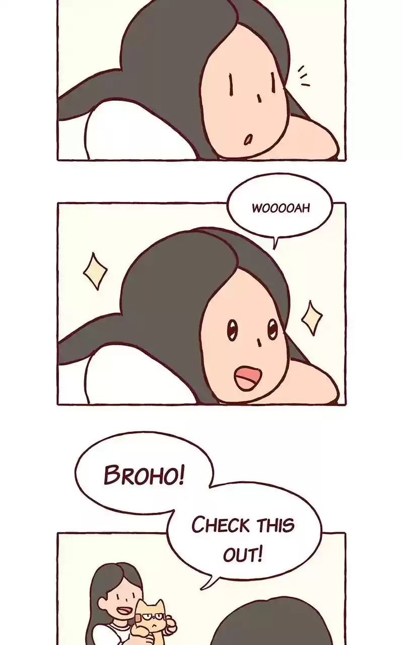 Saphie: The One-Eyed Cat Chapter 299: