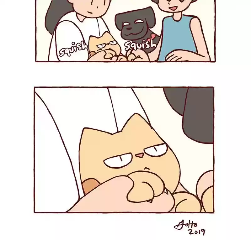 Saphie: The One-Eyed Cat Chapter 299: