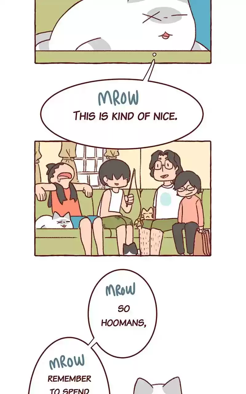 Saphie: The One-Eyed Cat Chapter 301: