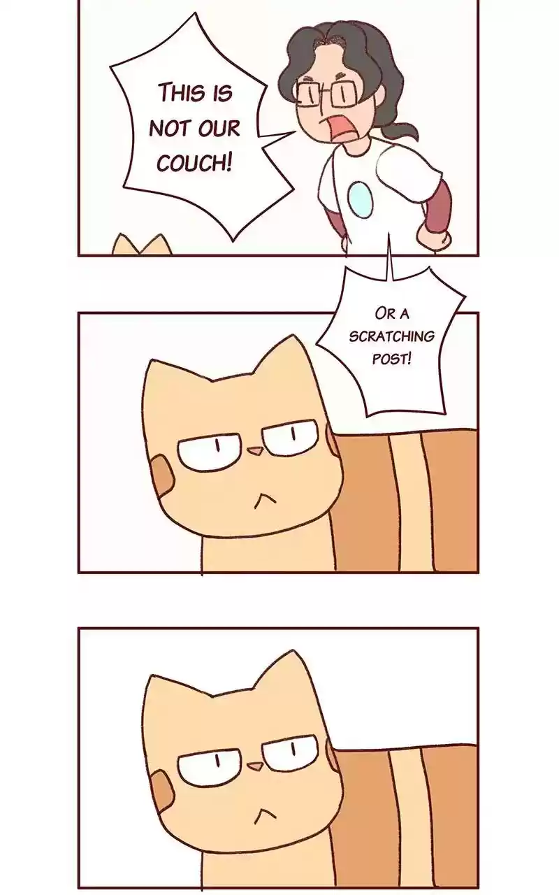 Saphie: The One-Eyed Cat Chapter 303: