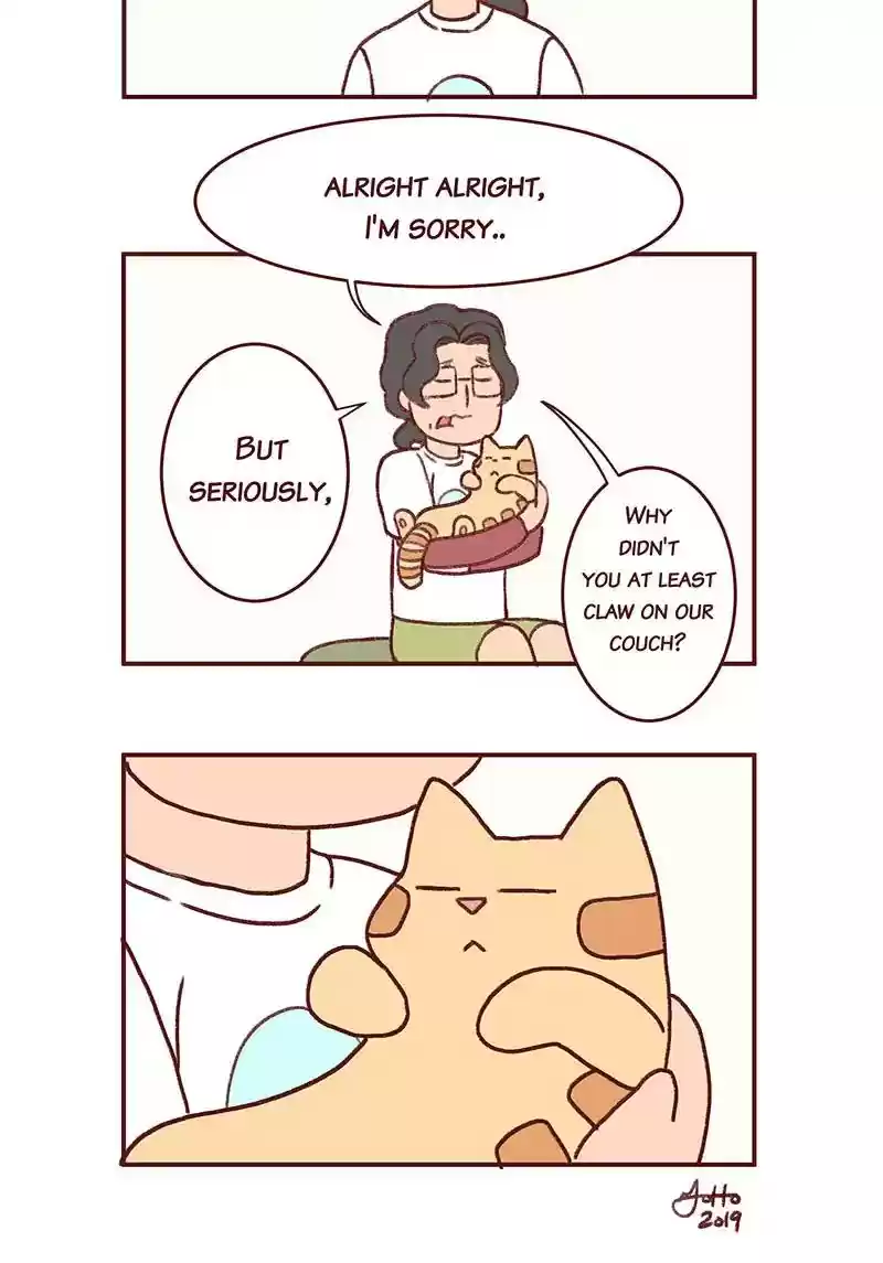 Saphie: The One-Eyed Cat Chapter 303: