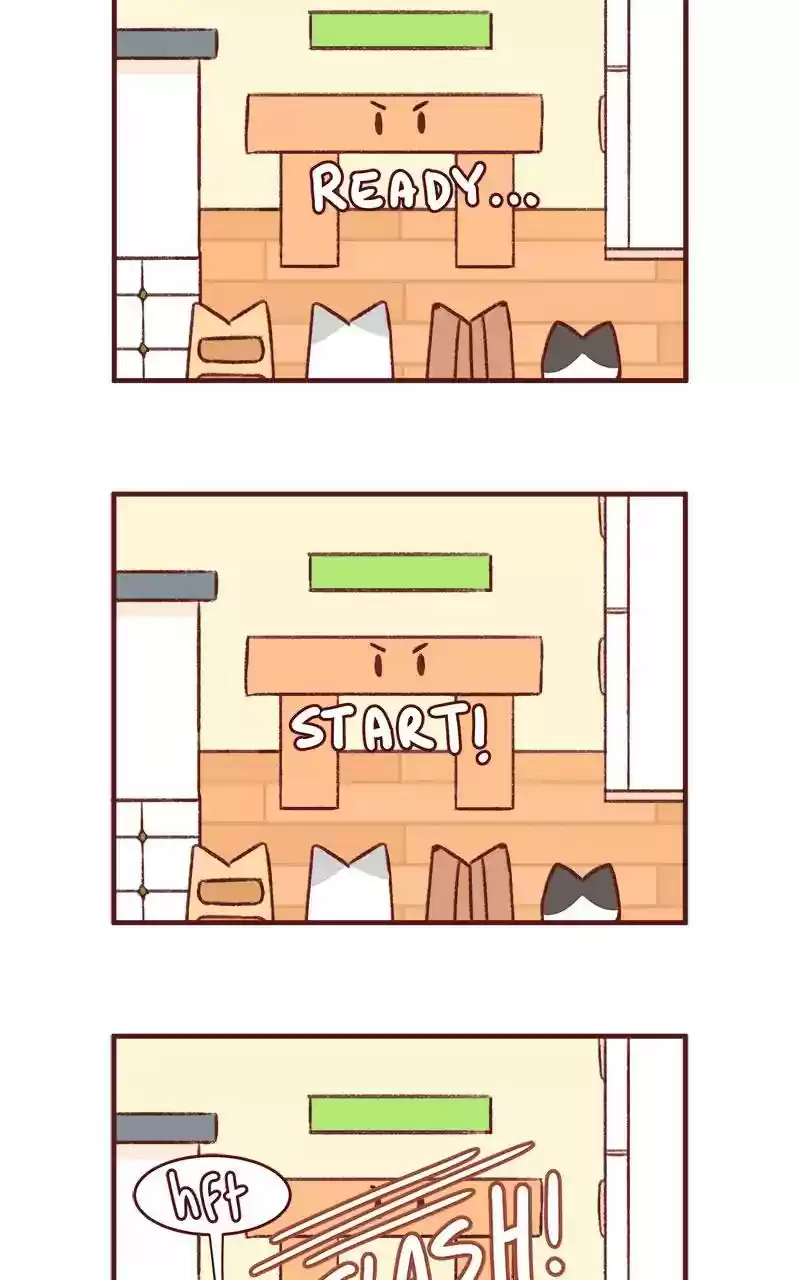 Saphie: The One-Eyed Cat Chapter 304: