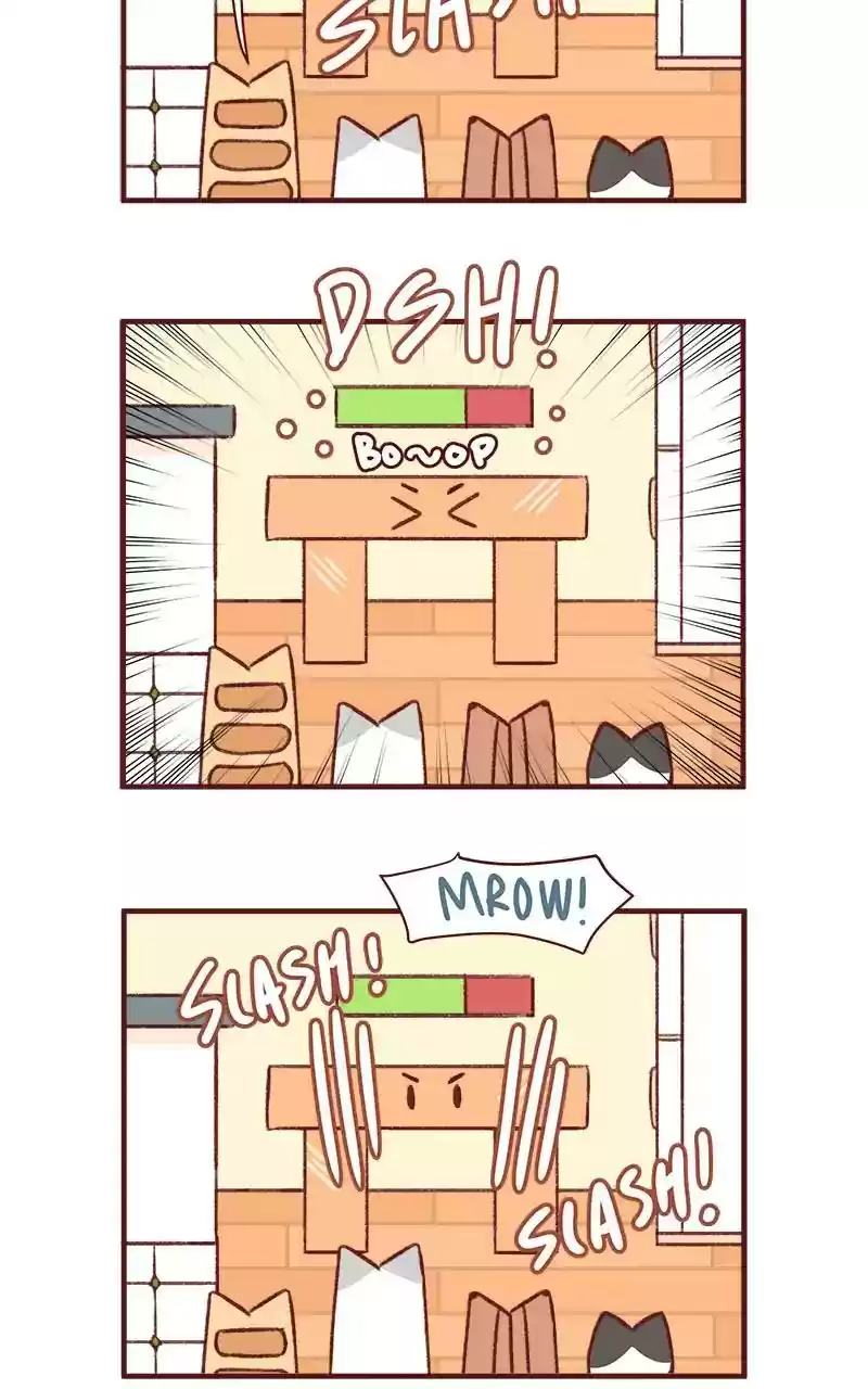 Saphie: The One-Eyed Cat Chapter 304: