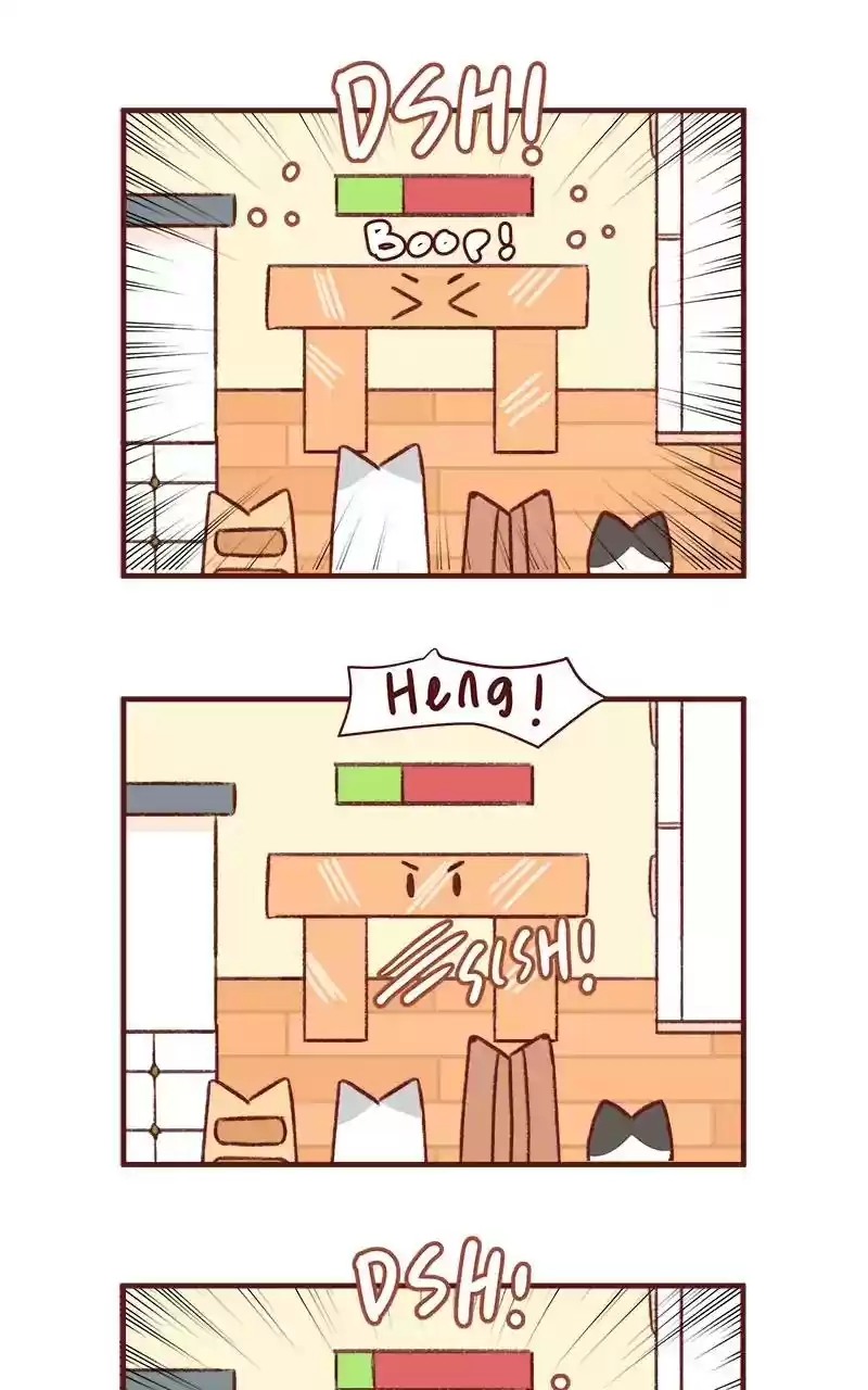 Saphie: The One-Eyed Cat Chapter 304: