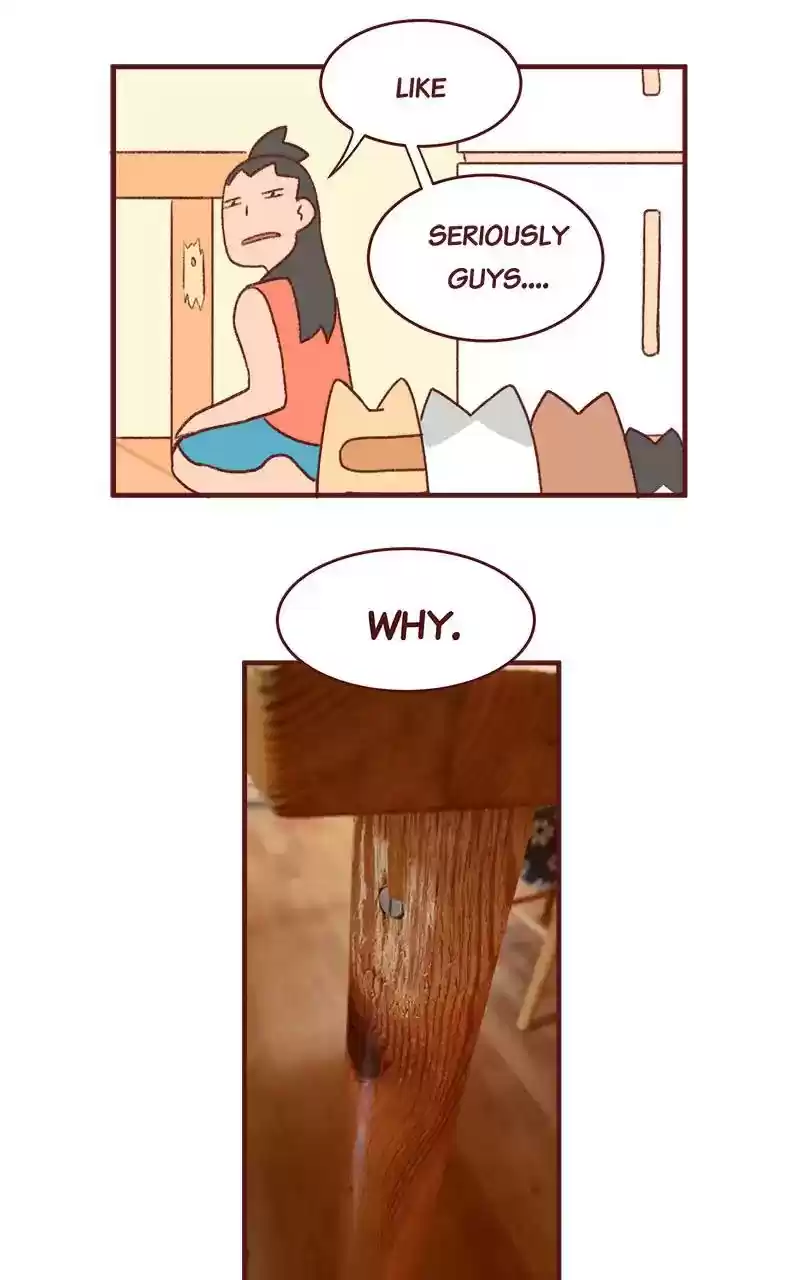 Saphie: The One-Eyed Cat Chapter 304: