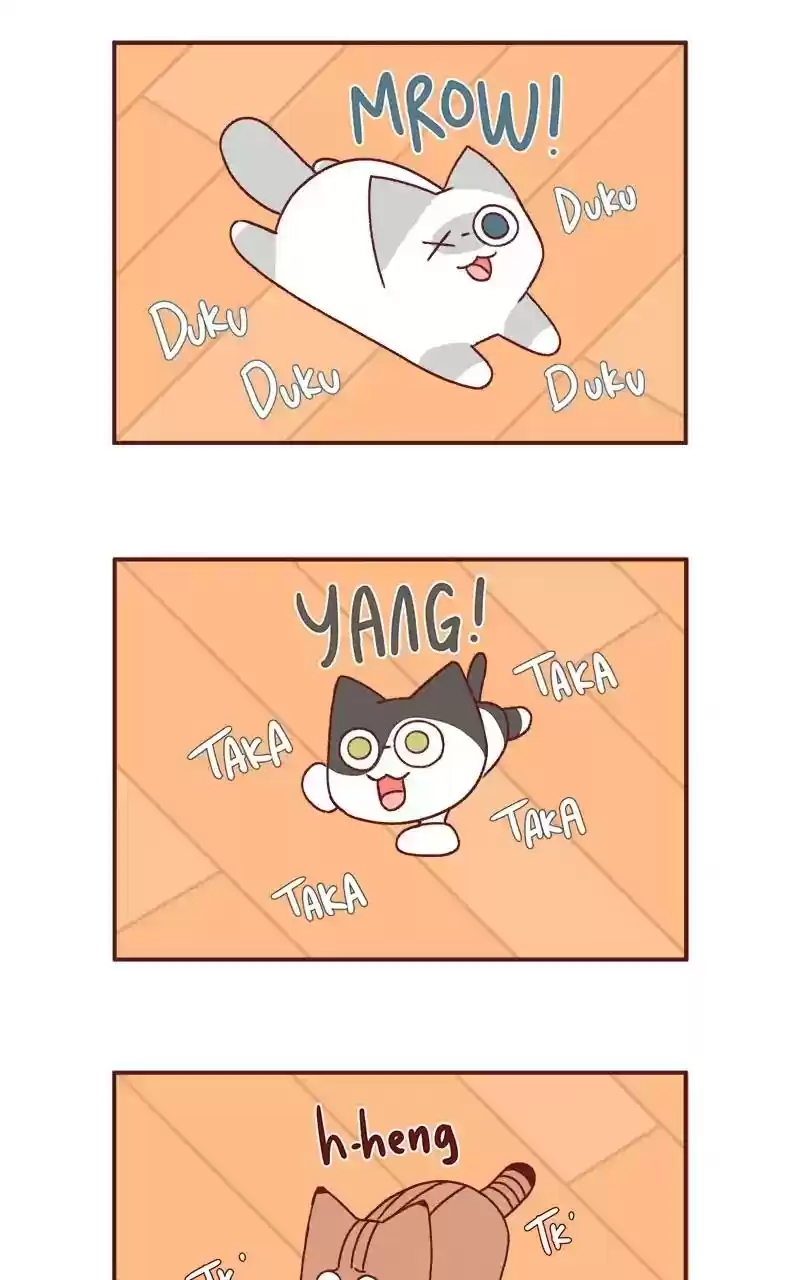 Saphie: The One-Eyed Cat Chapter 305: