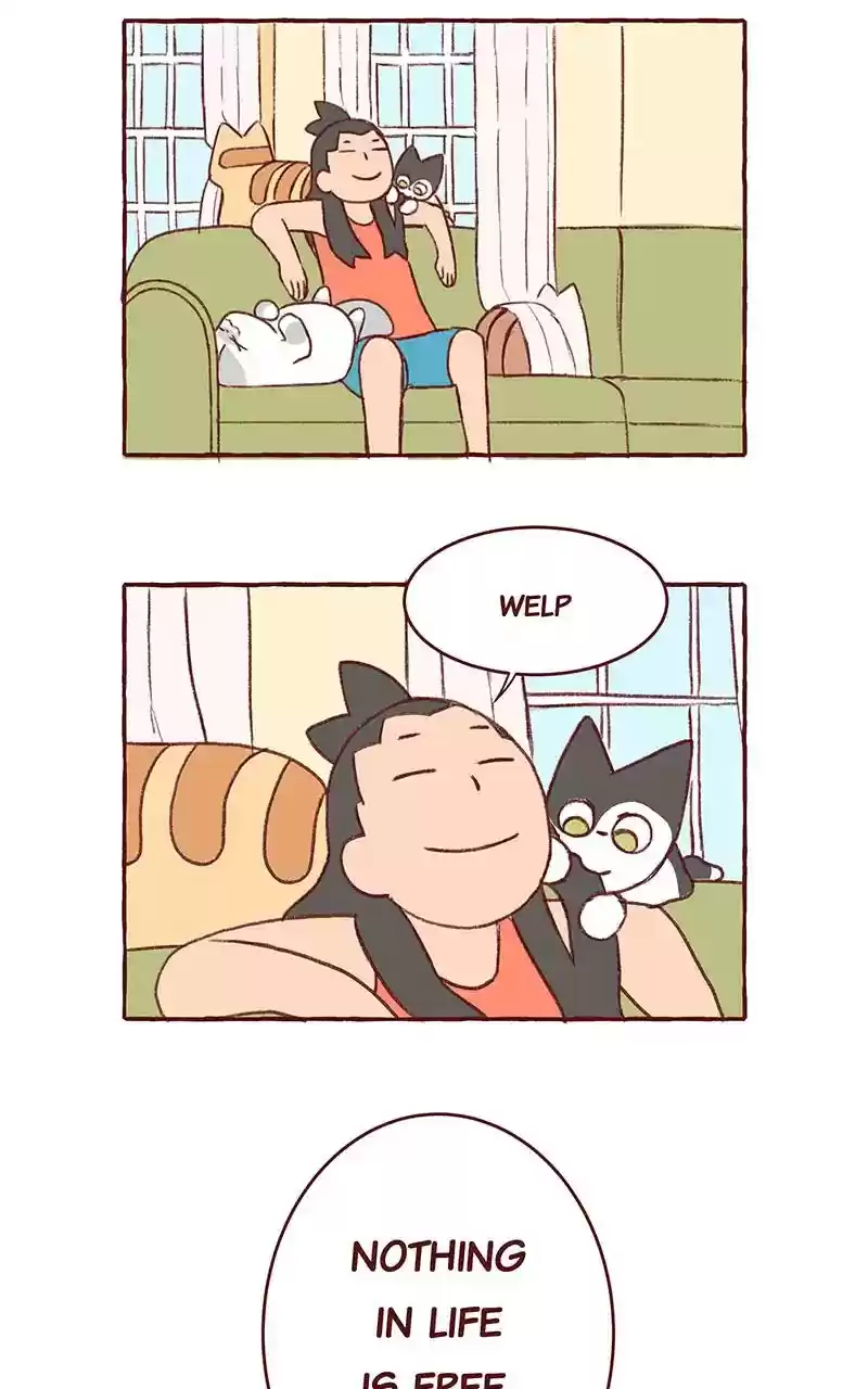 Saphie: The One-Eyed Cat Chapter 306: