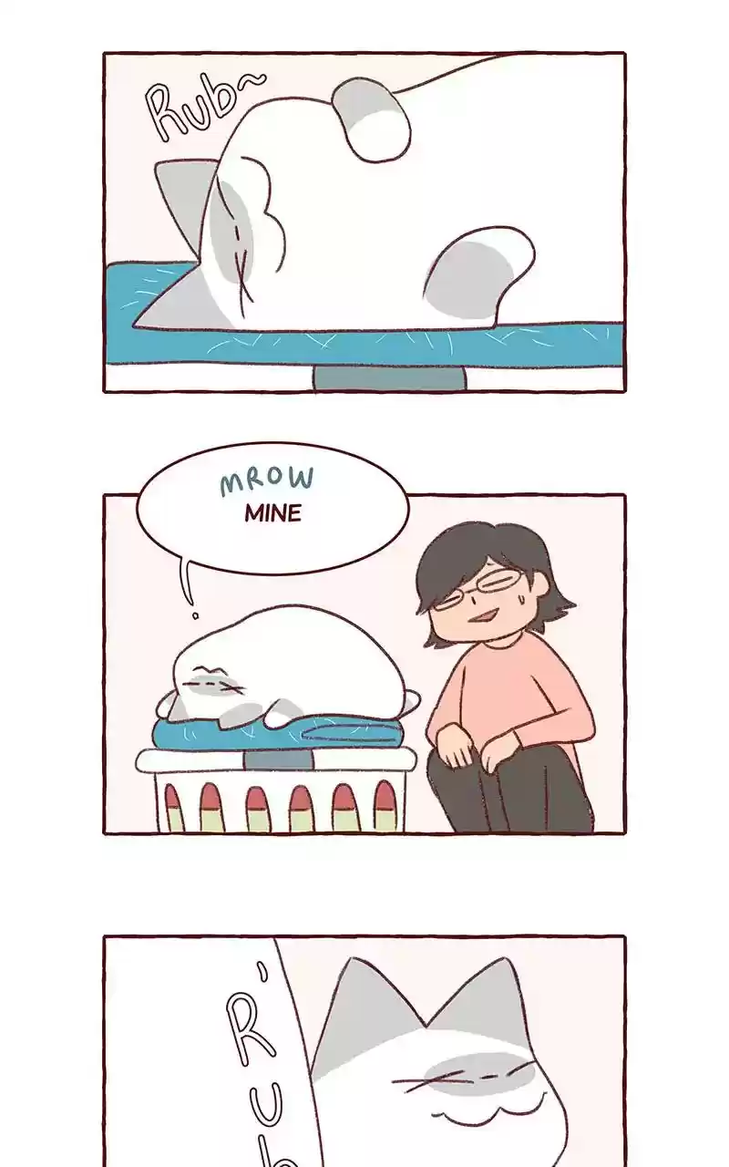 Saphie: The One-Eyed Cat Chapter 307: