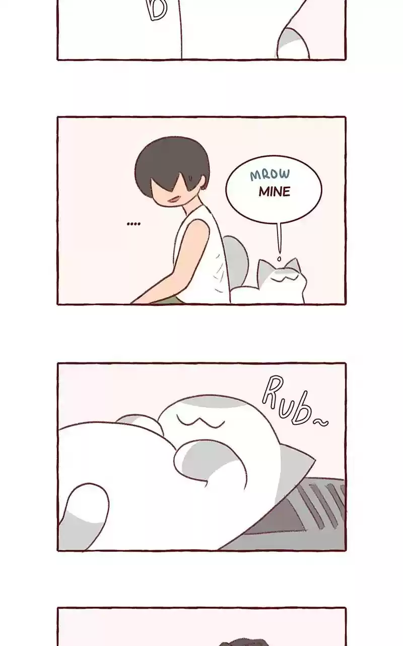 Saphie: The One-Eyed Cat Chapter 307: