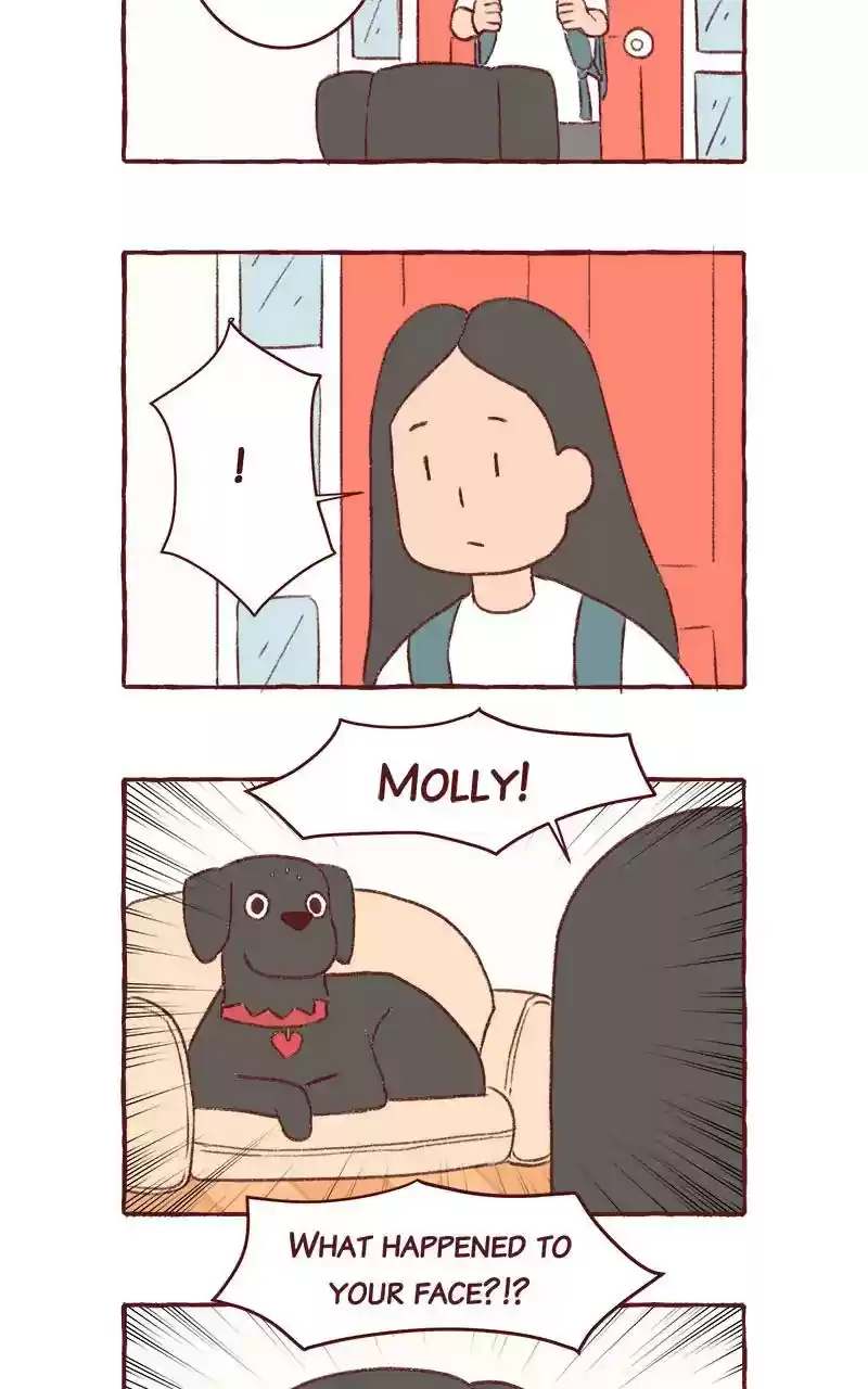 Saphie: The One-Eyed Cat Chapter 308: