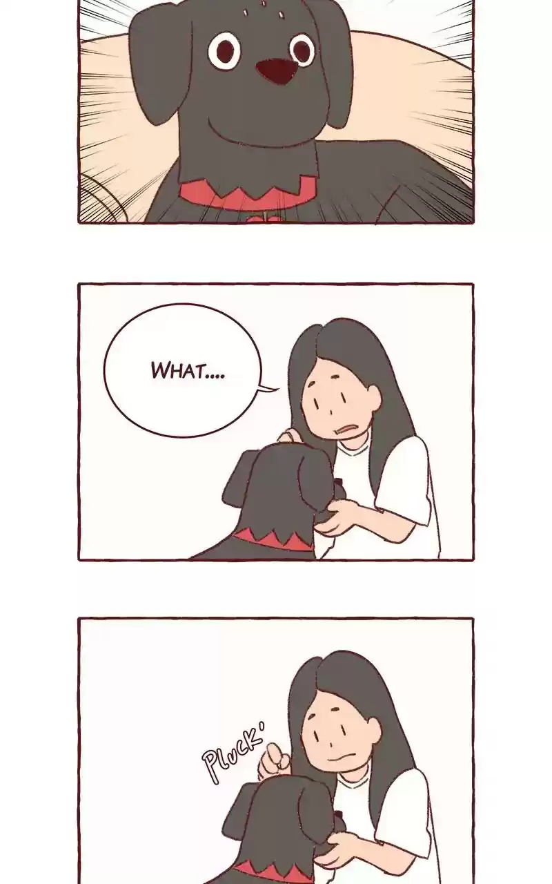 Saphie: The One-Eyed Cat Chapter 308: