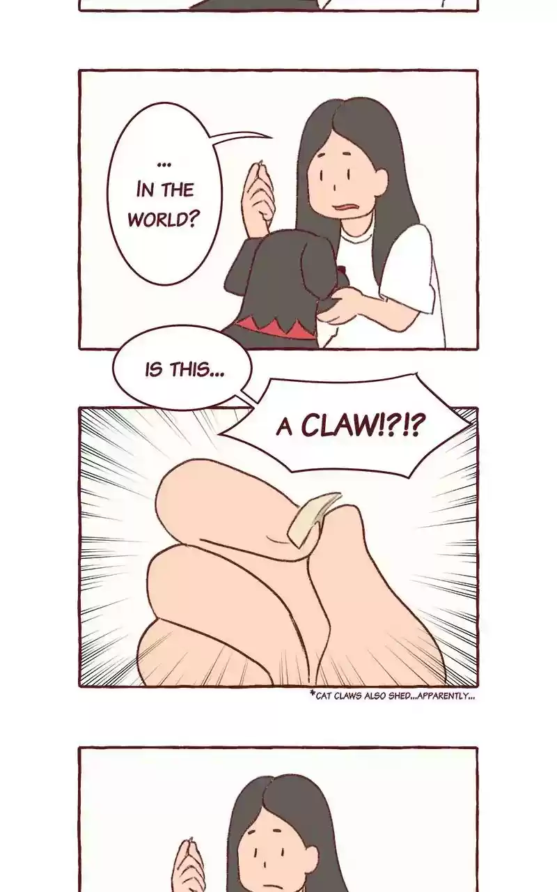 Saphie: The One-Eyed Cat Chapter 308: