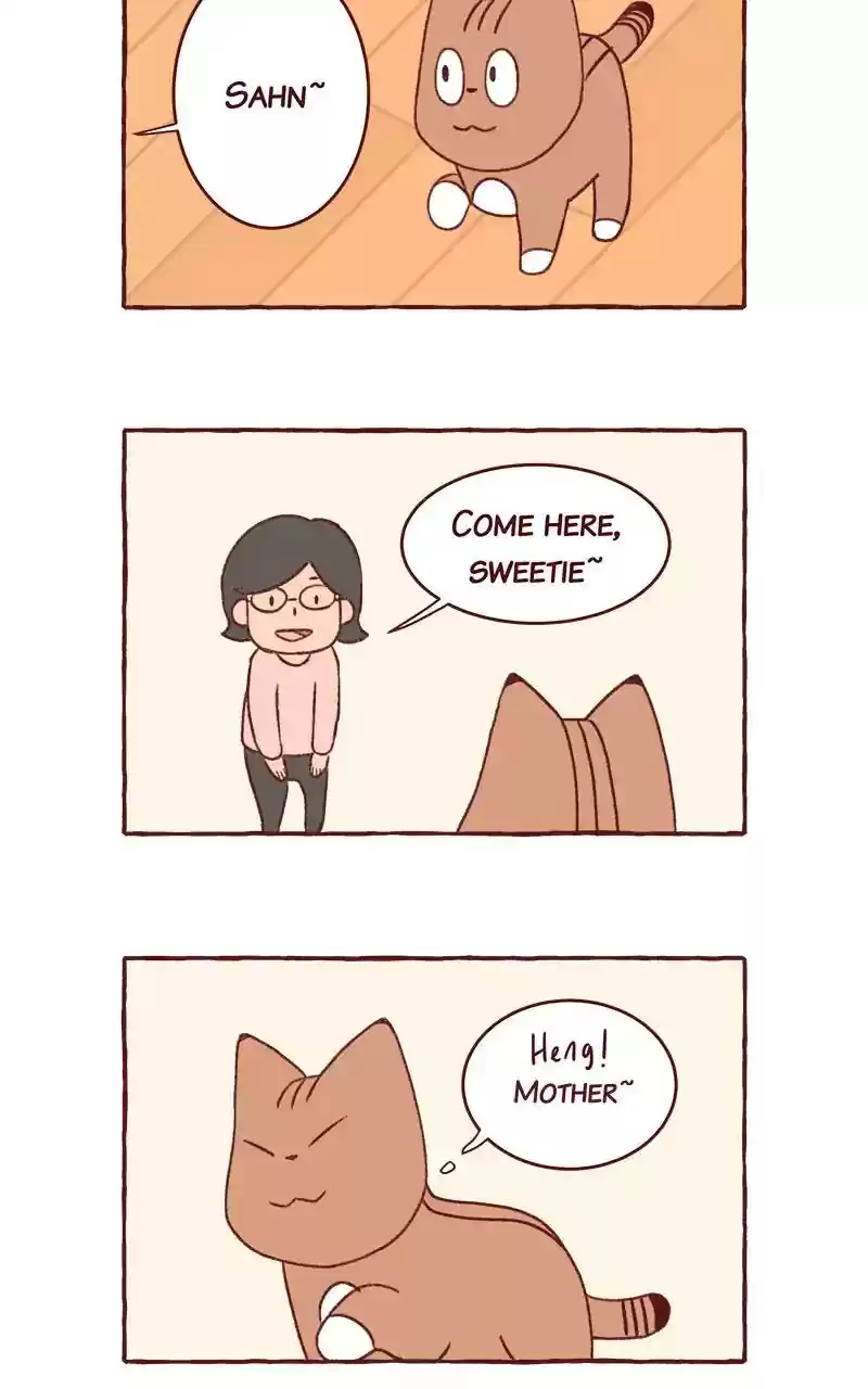 Saphie: The One-Eyed Cat Chapter 310: