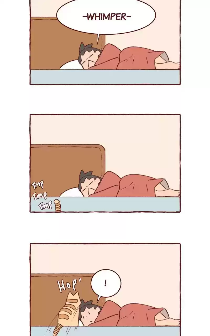 Saphie: The One-Eyed Cat Chapter 311: