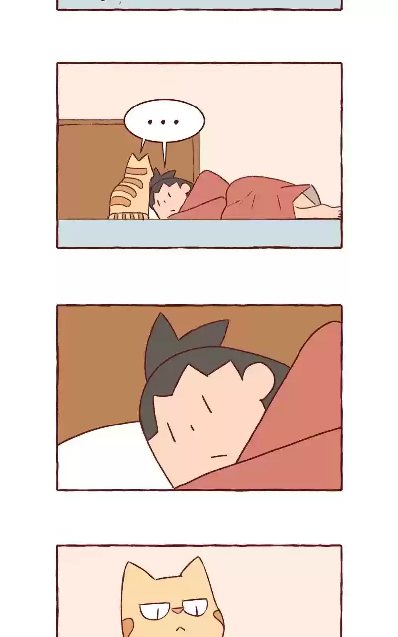 Saphie: The One-Eyed Cat Chapter 311: