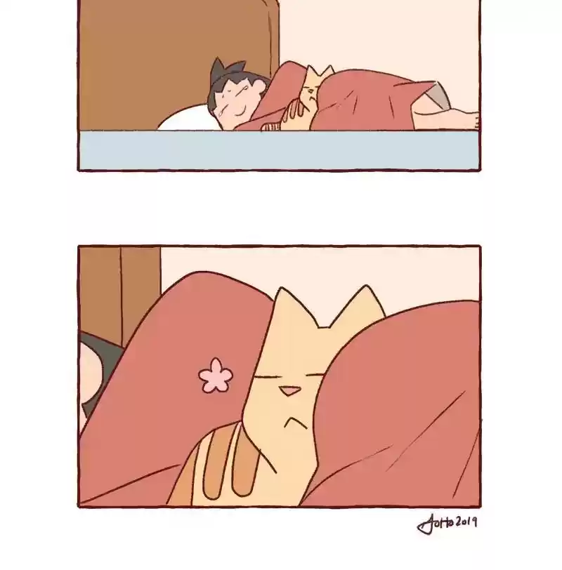 Saphie: The One-Eyed Cat Chapter 311: