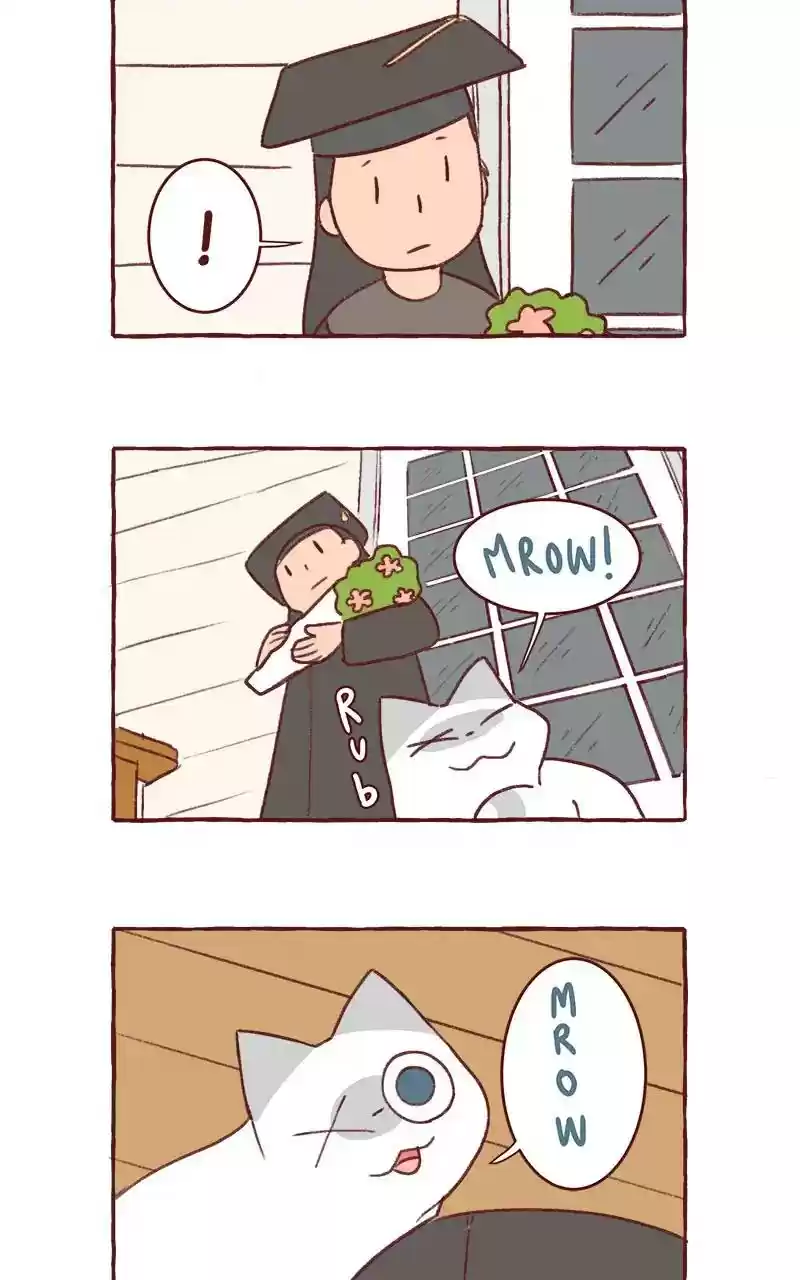 Saphie: The One-Eyed Cat Chapter 312: