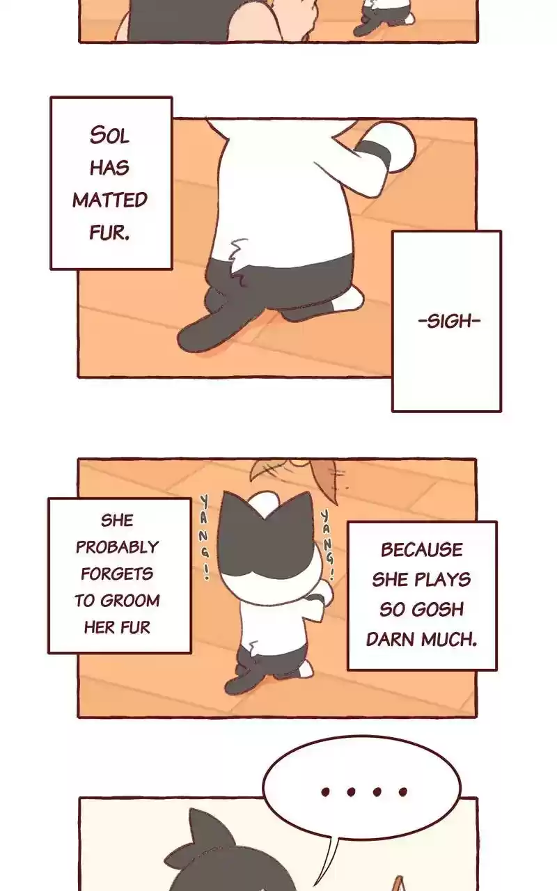 Saphie: The One-Eyed Cat Chapter 315: