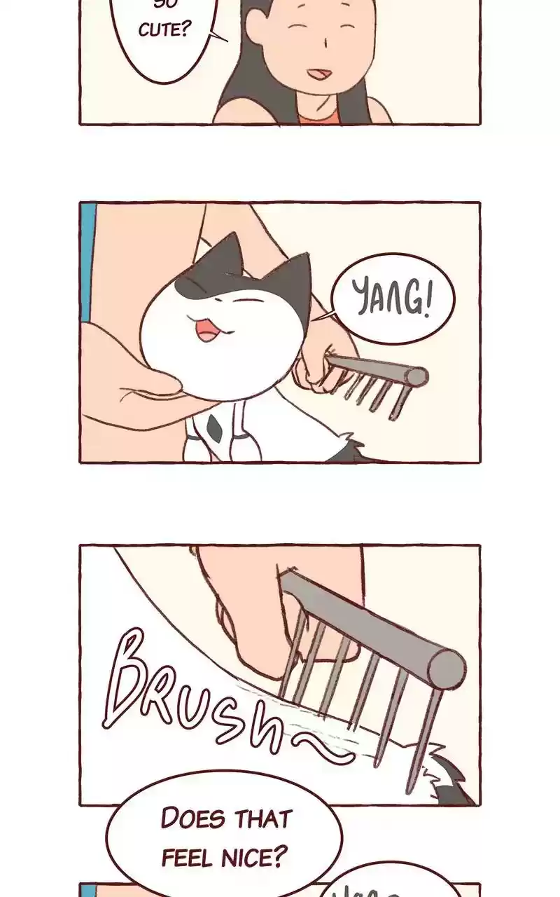 Saphie: The One-Eyed Cat Chapter 316: