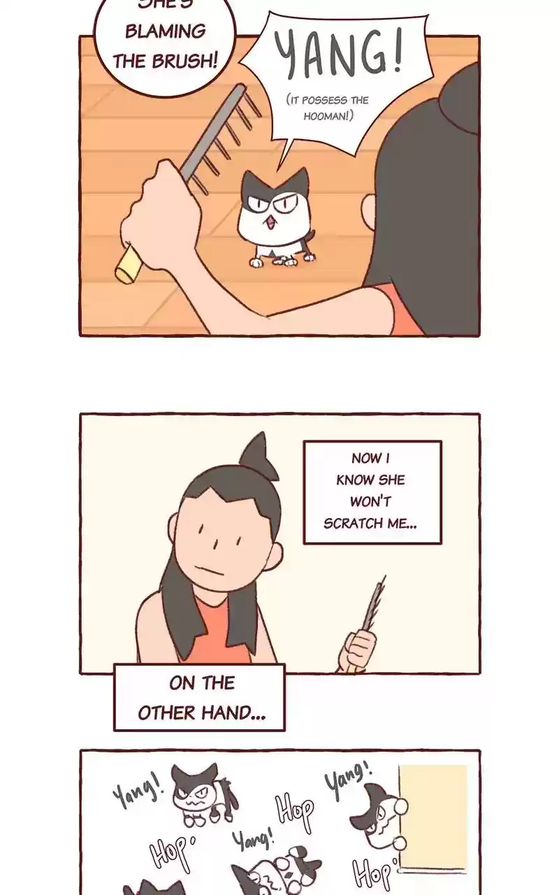 Saphie: The One-Eyed Cat Chapter 316: